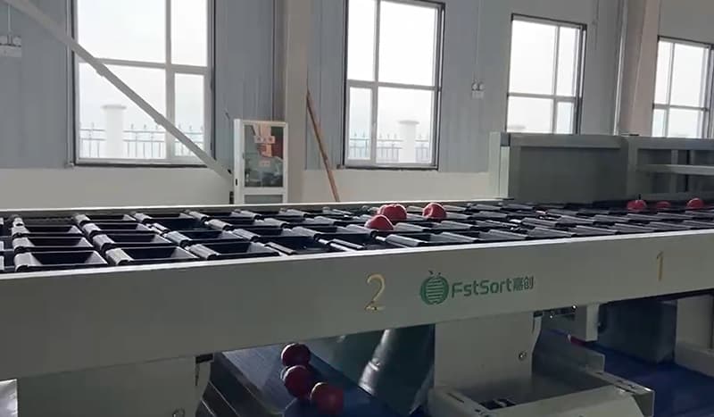 images/1690444945737fruit optical sorting line.jpg
